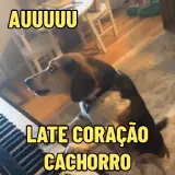 Sticker de Memes Brasileiros para WhatsApp