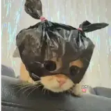 Figurinha de Engraçados para WhatsApp