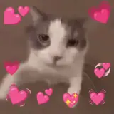 Figurinha de Animais para WhatsApp