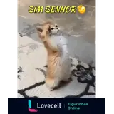 Figurinha para WhatsApp