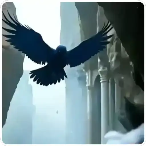 Coletadas sticker 23731