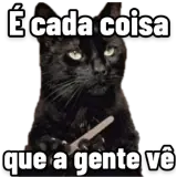 Sticker de Gatos para WhatsApp