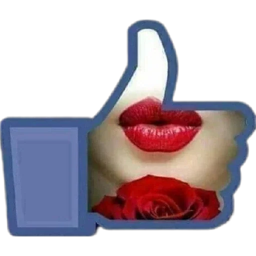 Figurinha para WhatsApp — reação