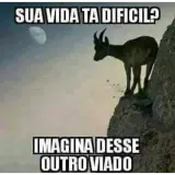 Sticker de Memes Brasileiros para WhatsApp