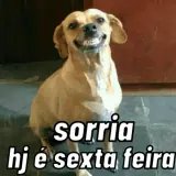 Sticker de Memes Brasileiros para WhatsApp