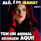 Figurinha de Memes Brasileiros para WhatsApp