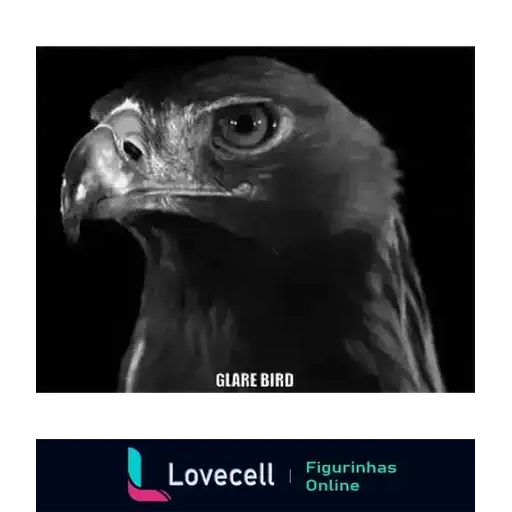 Coletadas sticker 32423