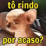Figurinha de Memes Brasileiros para WhatsApp
