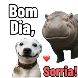 Figurinha de Saudações para WhatsApp