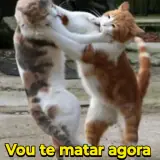 Figurinha de Memes para WhatsApp