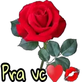 Figurinha para WhatsApp