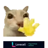 WhatsApp sticker