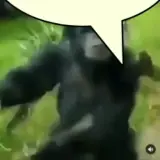 Figurinha de Memes Clássicos para WhatsApp