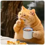 Figurinha de Gatos para WhatsApp