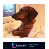 Figurinha para WhatsApp