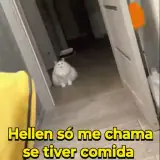 Figurinha de Cachorros para WhatsApp