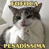 Memes Brasileiros WhatsApp sticker