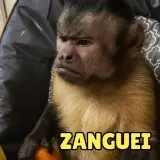 Figurinha de Memes Brasileiros para WhatsApp