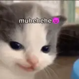 Figurinha para WhatsApp