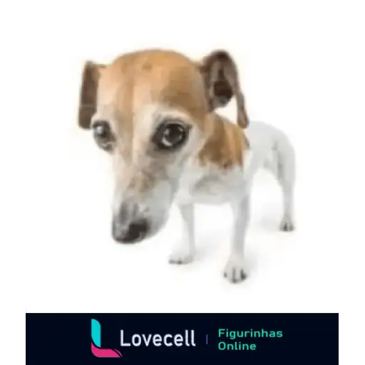 Coletadas sticker 33211
