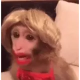 Memes WhatsApp sticker