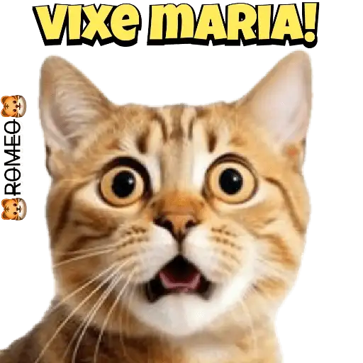 Coletadas sticker 170