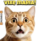 Figurinha para WhatsApp