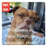 Memes Brasileiros WhatsApp sticker