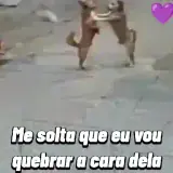 Figurinha de Memes Brasileiros para WhatsApp