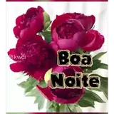 Figurinha de Boa Noite para WhatsApp