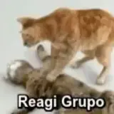 Figurinha de Memes para WhatsApp