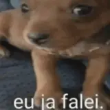 Figurinha de Cachorros para WhatsApp