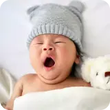 Sticker de Animais para WhatsApp