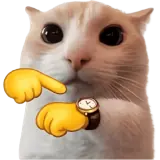 Sticker de Gatos para WhatsApp