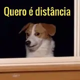 Figurinha de Cachorros para WhatsApp