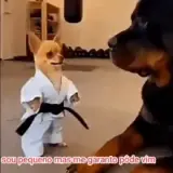 Figurinha para WhatsApp