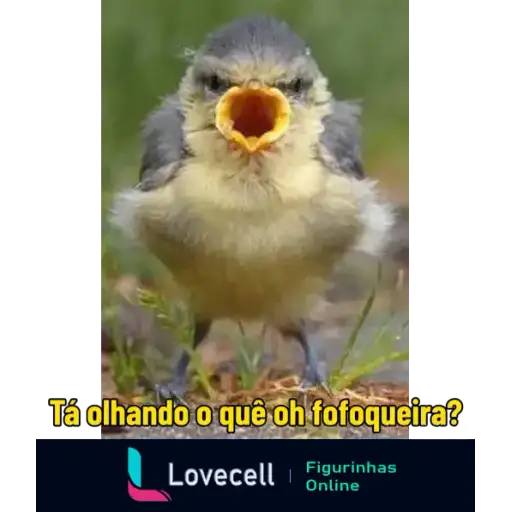 Coletadas sticker 33794
