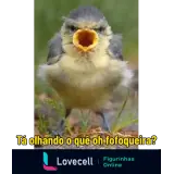 WhatsApp sticker