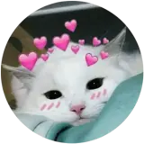 Figurinha de Gatos para WhatsApp