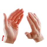 reação WhatsApp sticker