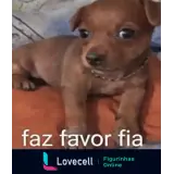 Figurinha para WhatsApp