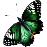 Figurinha de Animais para WhatsApp