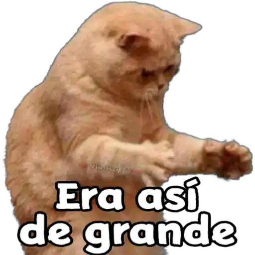 Coletadas sticker 20795