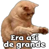Figurinha de Gatos para WhatsApp