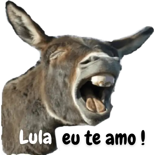 Coletadas sticker 25391
