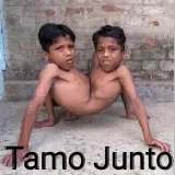 Figurinha de Memes para WhatsApp