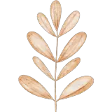 Figurinha para WhatsApp