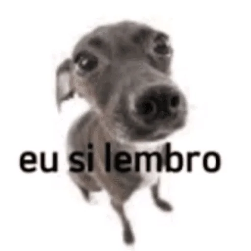 Figurinha para WhatsApp — Cachorros