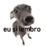 Figurinha de Cachorros para WhatsApp