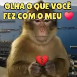 Figurinha de Memes Brasileiros para WhatsApp